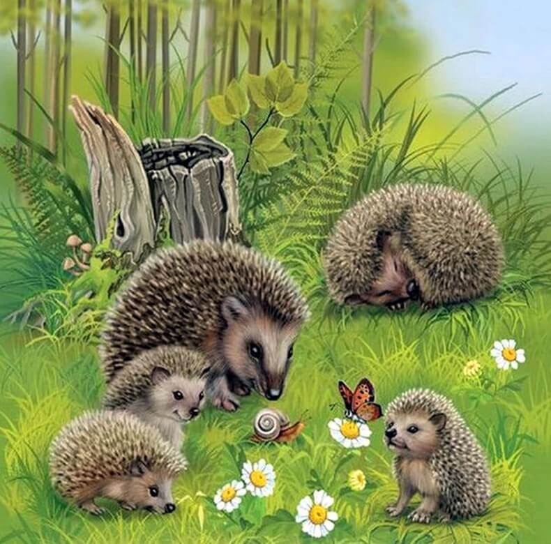 Hedgehogs Diamond Paintings