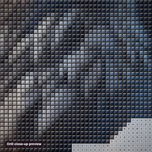 Close-up preview of the Agressive Eagle diamond painting with square 5D drills and printed canvas symbols