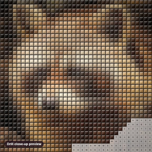 Close-up preview of the Raccoon diamond painting with square 5D drills and printed canvas symbols