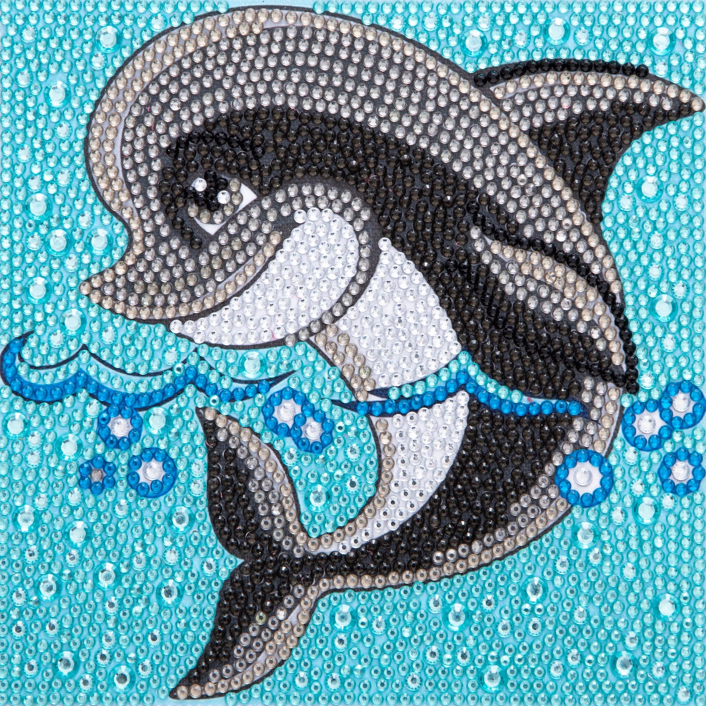 Black & White Dolphin - Special Diamond painting