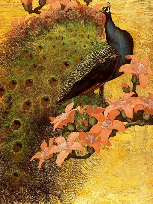 Adorable Peacock - Paint by Diamonds – All Diamond Painting