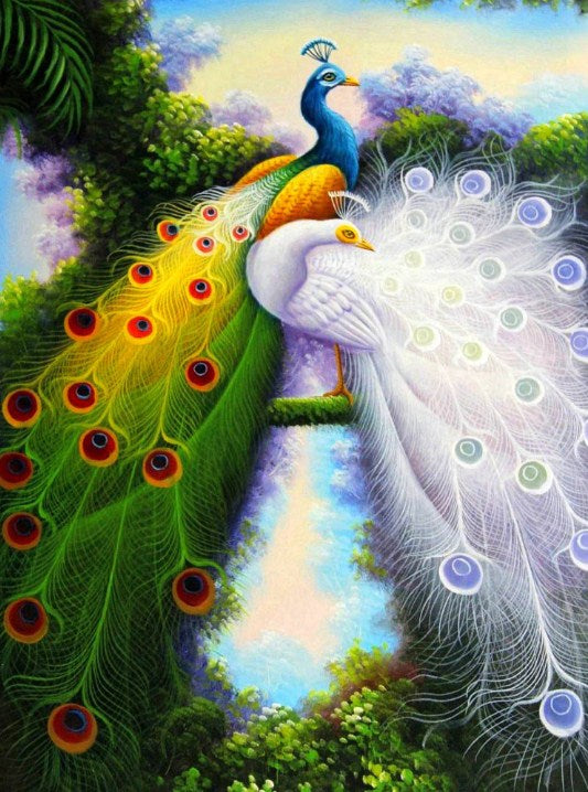 Attractive Peacocks Paint by Diamonds