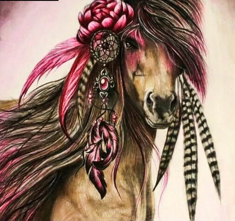 Aesthetic Native American Horse Art Diamond Painting 