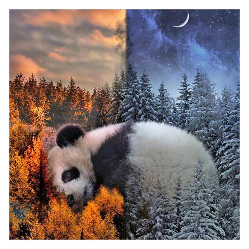 Big fat panda DIY diamond painting kit