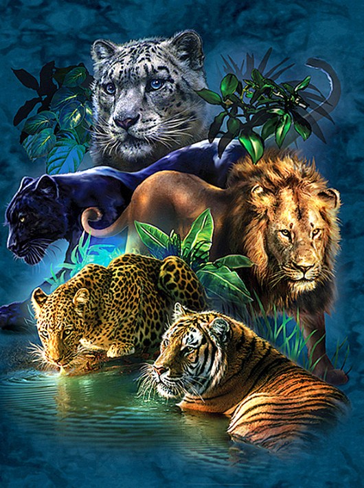3D Movie Cat Completed 5D Diamond Painting 