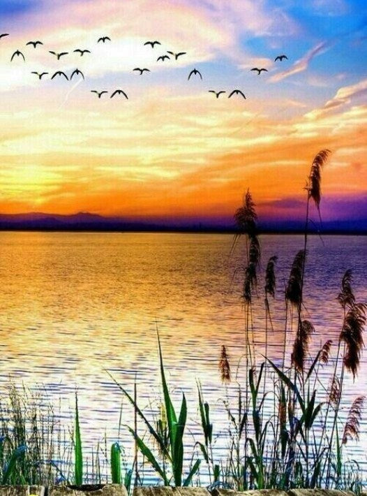 Birds Coming Back to Homes Diamond Painting