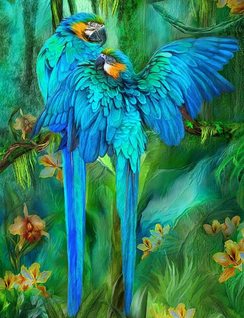Blue African Parrots Pair Diamond Painting