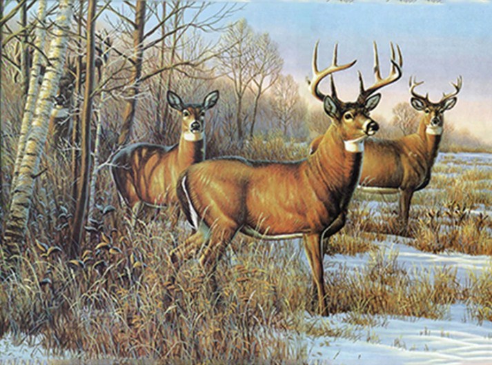 5D Deer Diamond Painting DIY Little Horned Deer in the Forest