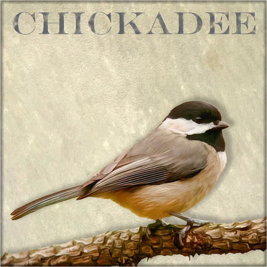 Chickadee - Art by Denise Dundon