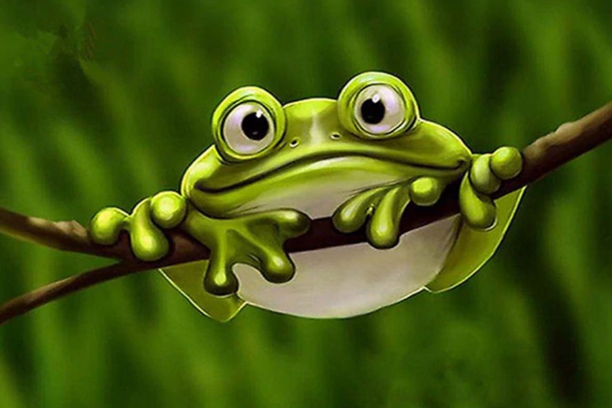 Cute Froggy Diamond Painting Kit