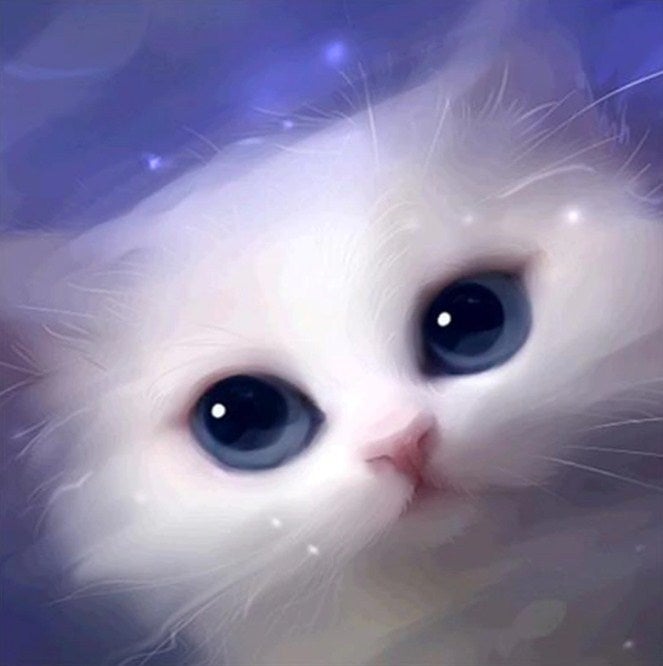 Cute White Cat with Blue Eyes – All Diamond Painting