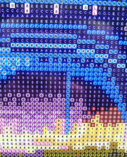 LED House Diamond Artwork