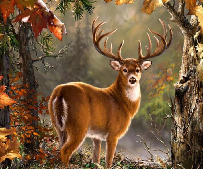 Deer Diamond Painting Kit