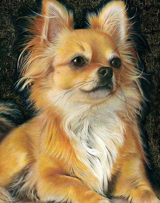 Chihuahua Dog Neon Diamond Painting