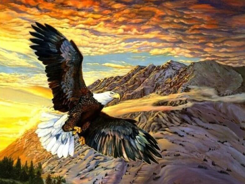 Eagle Full Drill Diamond Painting Kit
