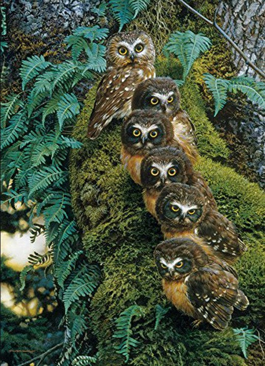 Family of Owls on the Tree – All Diamond Painting