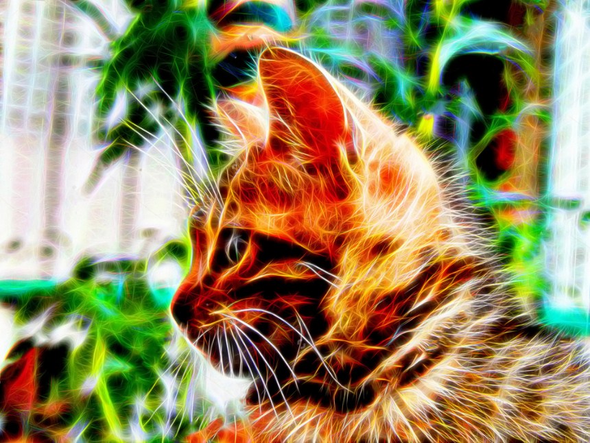 Fantasized Cat Paint by Diamonds