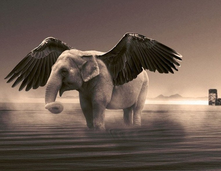 Fantasy Flying Elephant Paint by Diamonds