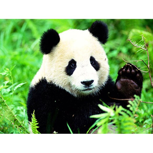 Forest panda diamond painting art