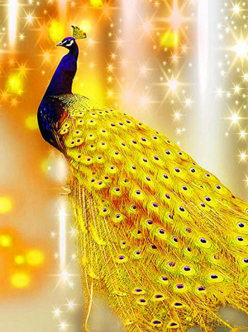 Golden Peacock - Paint by Diamonds – All Diamond Painting