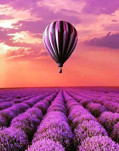 Lavender Fields Paint by Diamonds