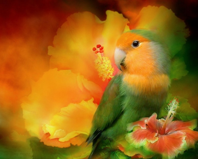 Love Bird Diamond Painting