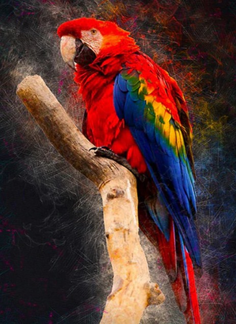 5D Diy Diamond Art Painting Macaw Diamond Painting Kits Animals