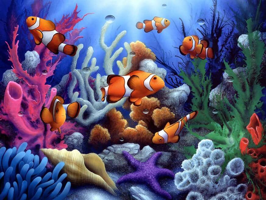 Fish Diamond Painting Kit