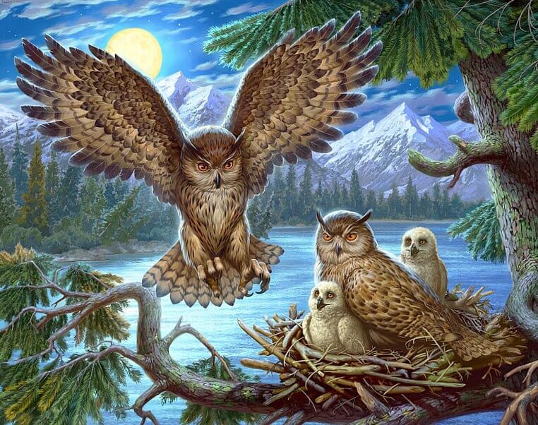 Owls DIY Diamond Painting