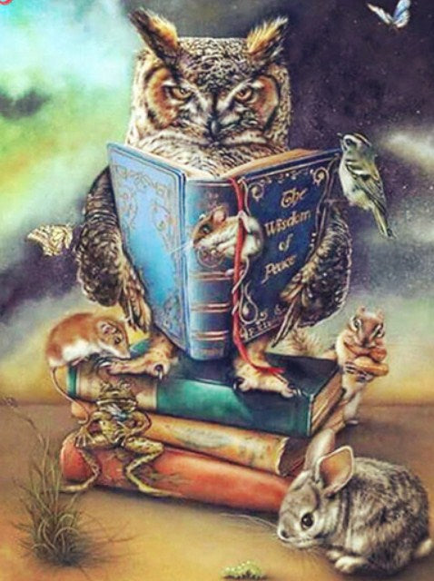 Owl Reading Book Diamond Painting kit – All Diamond Painting