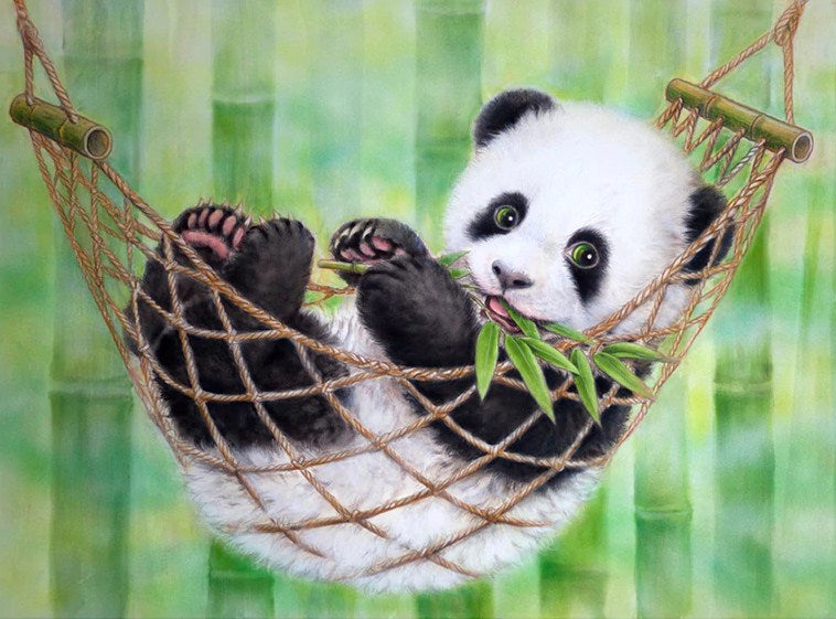 Panda Resting on Hammock