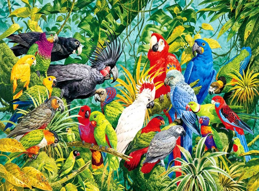  Jungle Animal Bird Diamond Art Kits for Adults,30x60cm