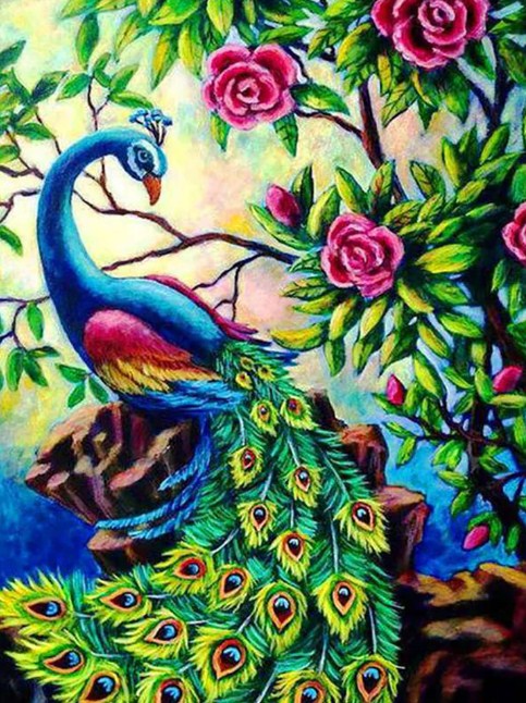 Pretty Peacock & Roses Paint by Diamonds