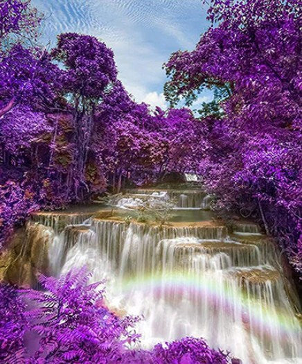 Trees & Waterfall Paint by Diamonds
