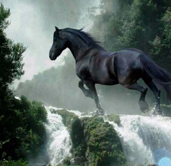 Black Horse in Water Completed 5D Diamond Painting 