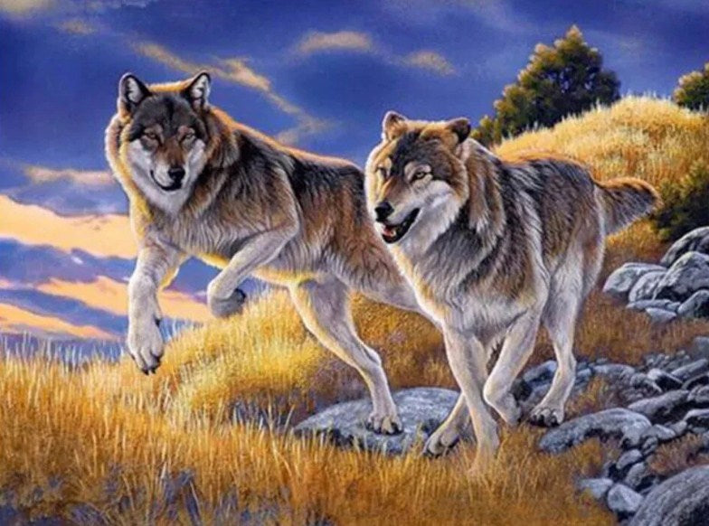 Running Wolves Diamond Painting Kit
