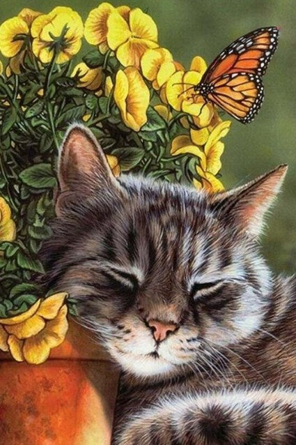 Sleeping Cat - Diamond Painting Kit