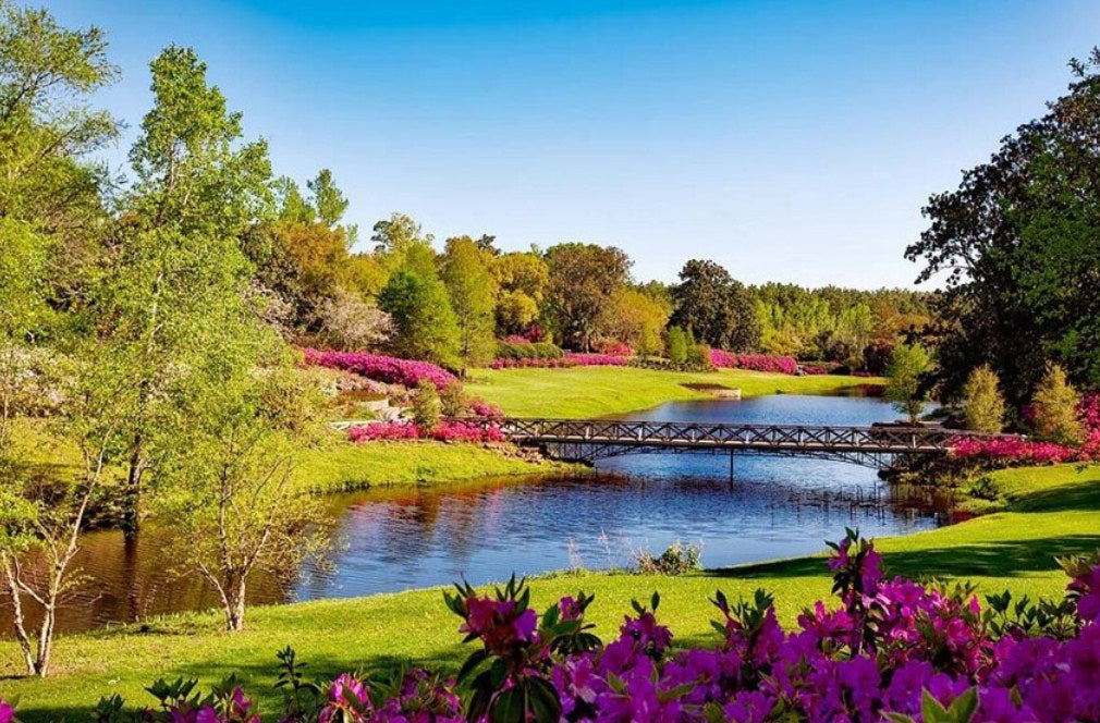 Spring Park View Paint by Diamonds