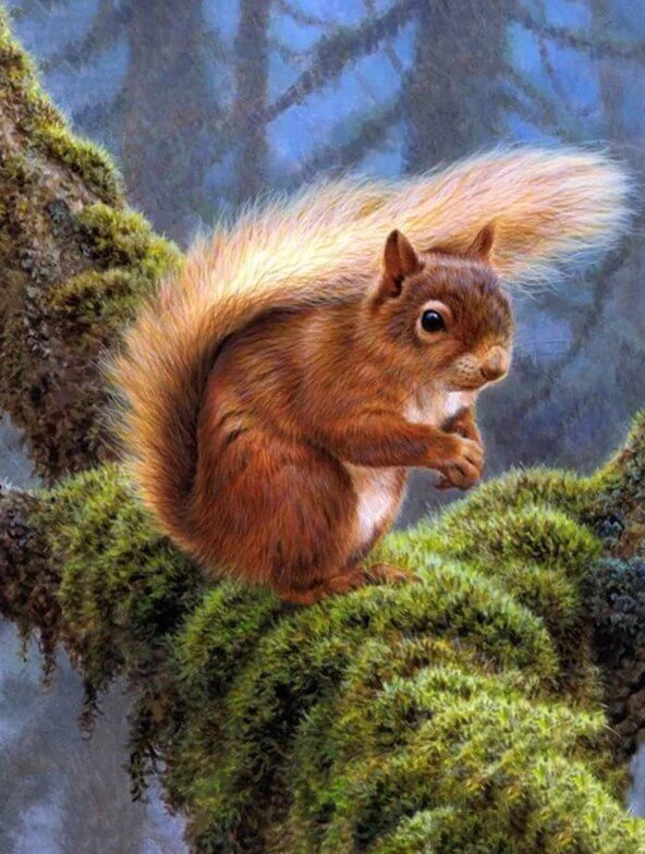 Squirrel Diamond Painting Kit