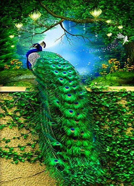 Peacock Paint by Diamonds