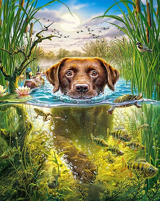 Swimmer Dog - Paint by Diamonds – All Diamond Painting