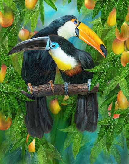 Toucans Pair Diamond Painting Kit