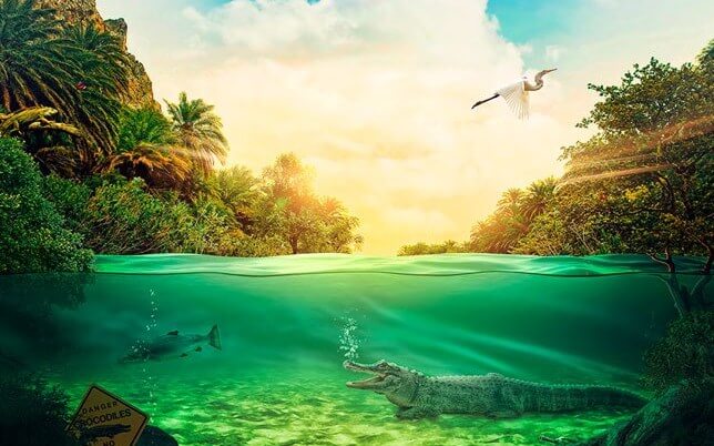 Crocodile DIY Diamond Painting