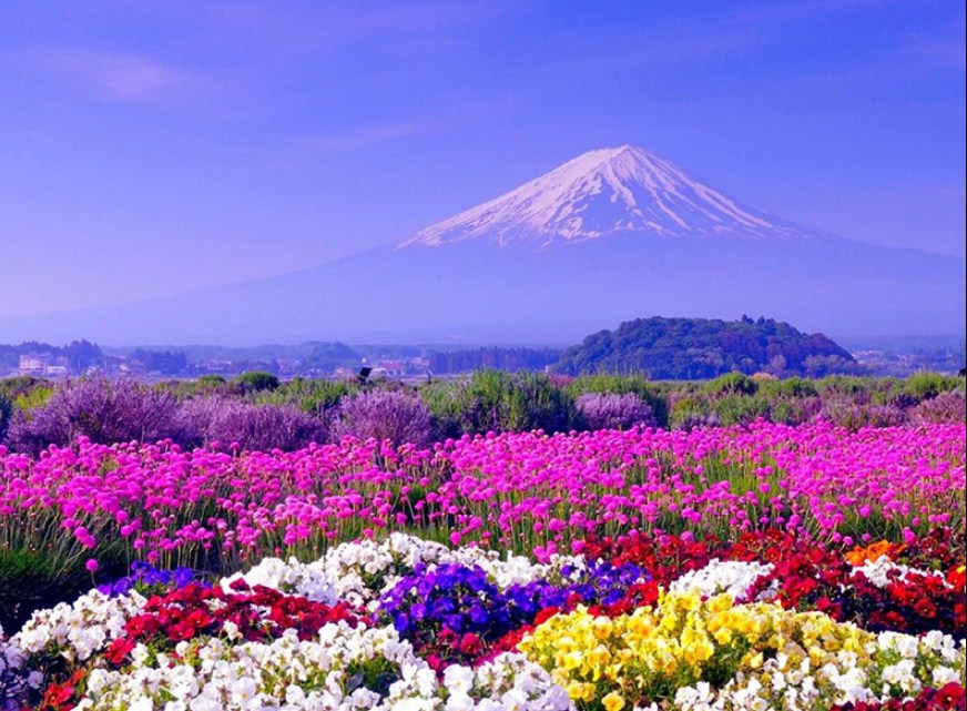 White Mountain & Colorful Flowers Diamond Painting