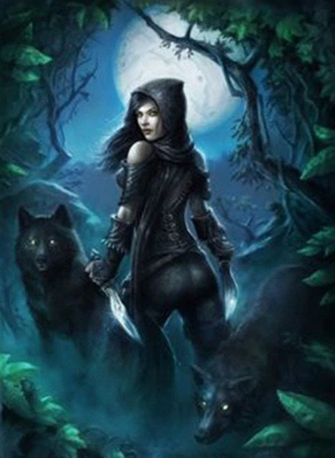 Wolf Girl Diamond Painting Kit