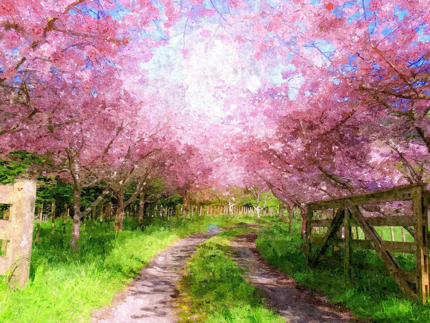Cherry Blossom Lane