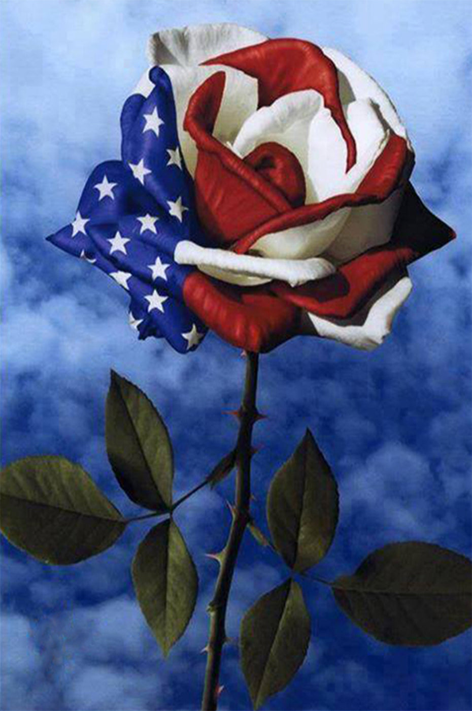 American Flag on Flower DIY Diamond Painting – All Diamond Painting