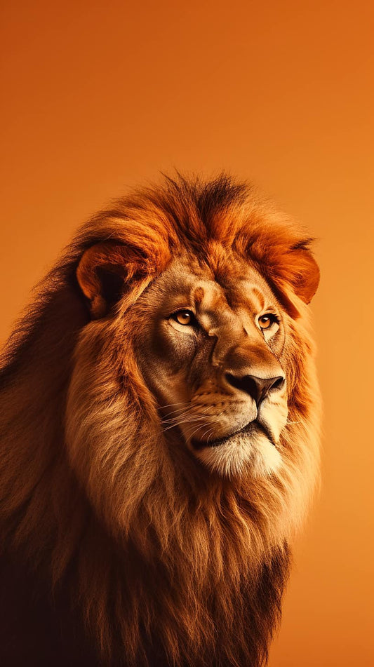 Brilliant Lion_s Majesty