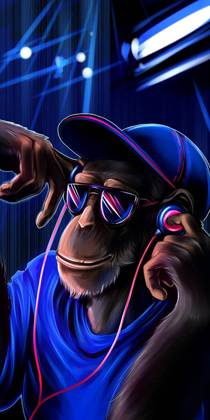 Cool Dj Monkey