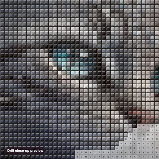 Close-up preview of the A Cat in Diamonds diamond painting with square 5D drills and printed canvas symbols
